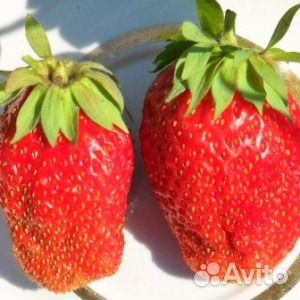 Как сделать ребенка успешней Как сделать ребенка успешней