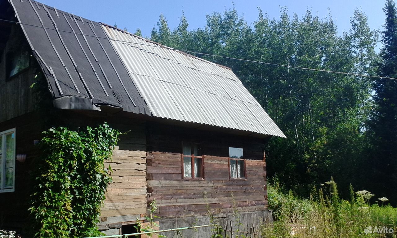 Лагерь таргай новокузнецк фото