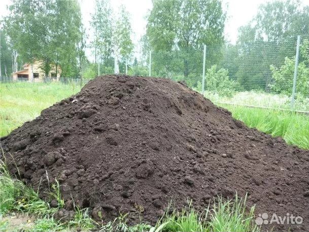 Плодородный грунт, Чернозем, почва купить на Зозу.ру - фотография № 5