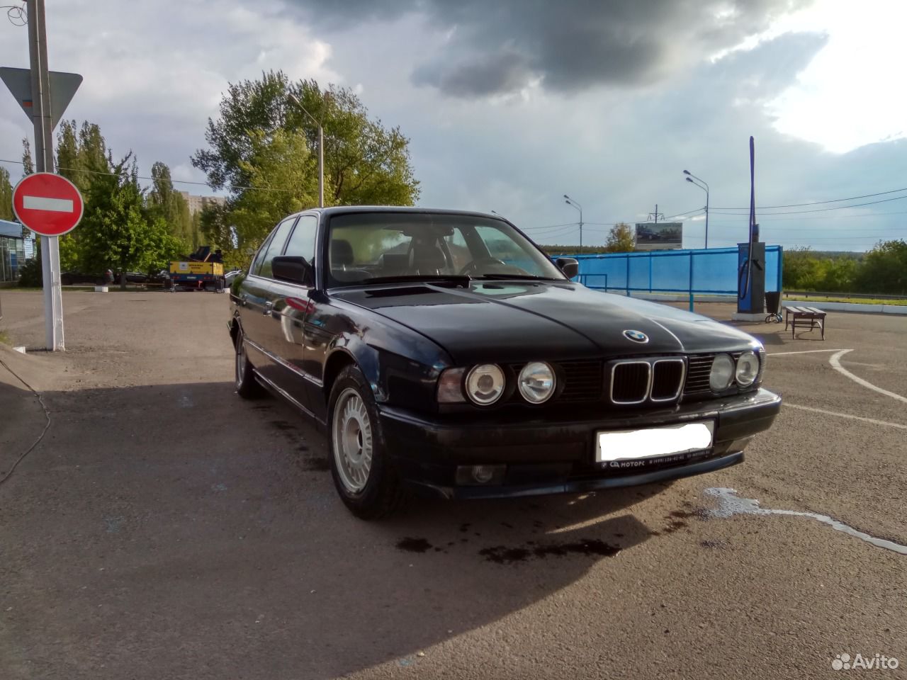 3532992378.jpg
