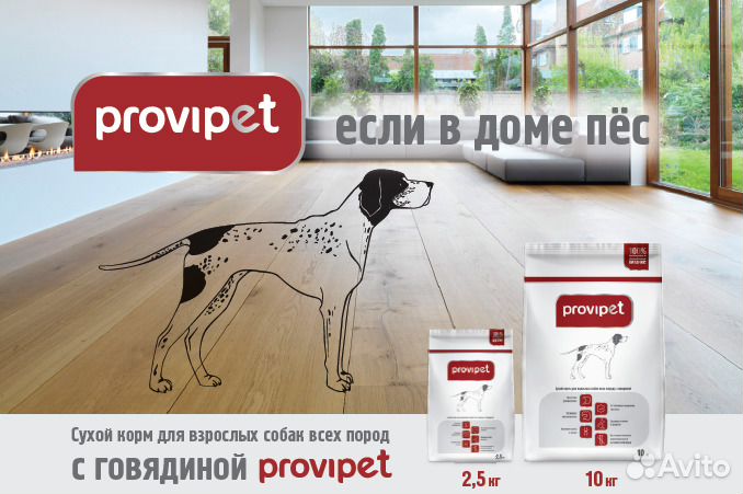 Полнорационные сухие корма для собак и кошек купить на Зозу.ру - фотография № 3