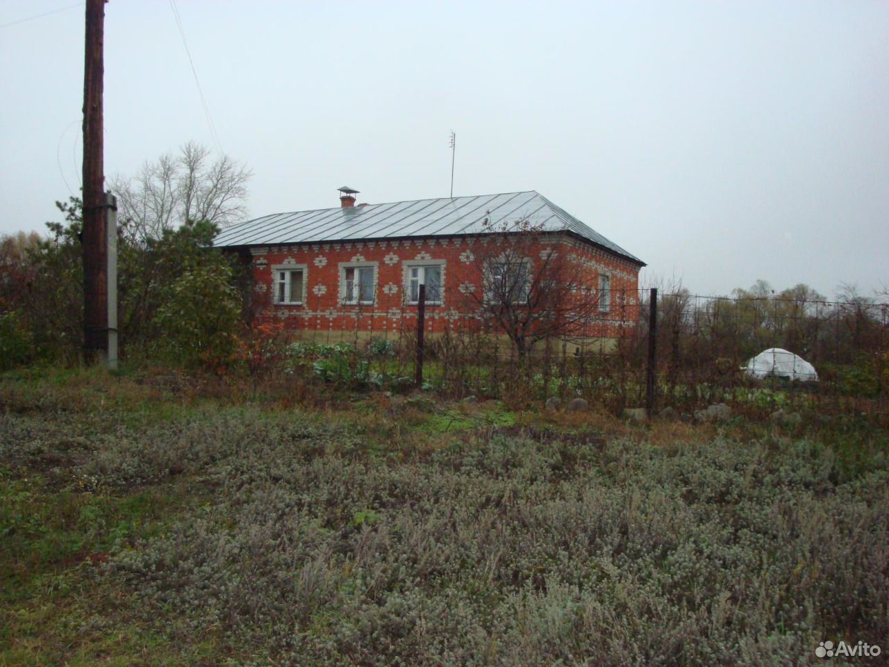 Авито сар обл. Село Новозахаркино Петровский район. Новозахаркино Саратовская область. Село Новозахаркино Саратовской области. Петровский район Саратовская область.