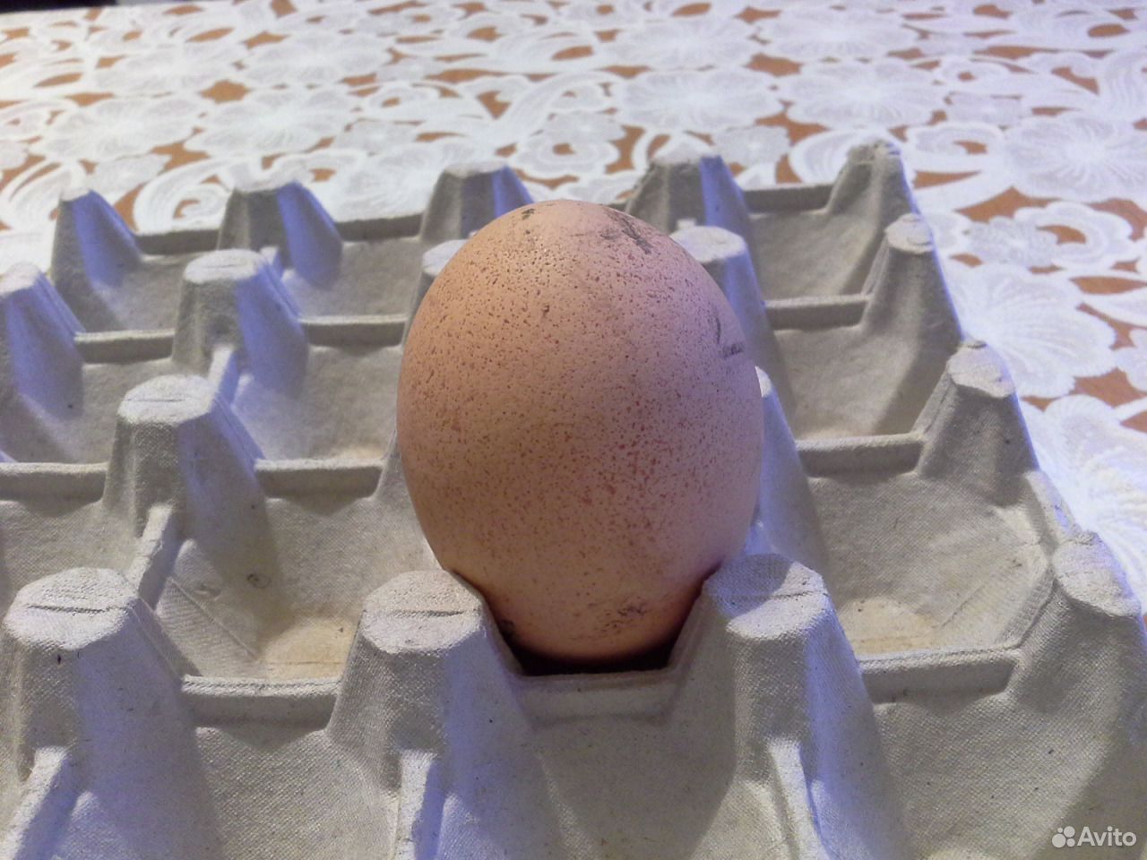 Яйцо куринное купить на Зозу.ру - фотография № 2