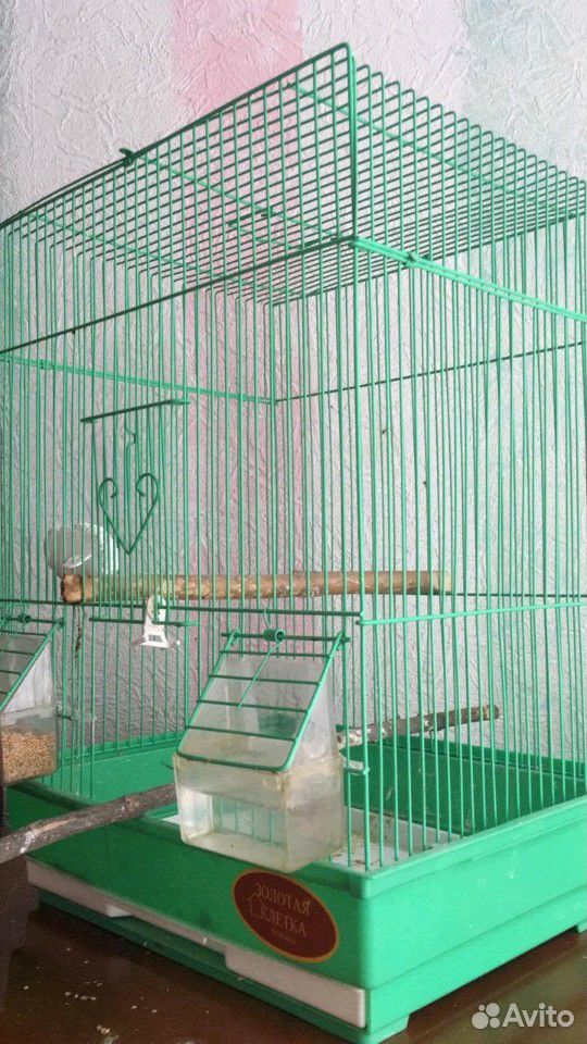 Клетка для попугая купить на Зозу.ру - фотография № 2