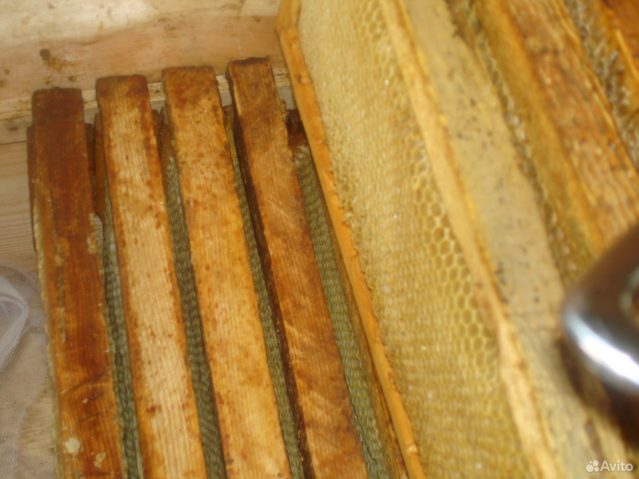 Кочевая пасека пчеловода (домик, вагончик, прицеп) купить на Зозу.ру - фотография № 5