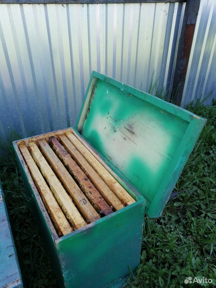 Ловушка для пчел купить на Зозу.ру - фотография № 2