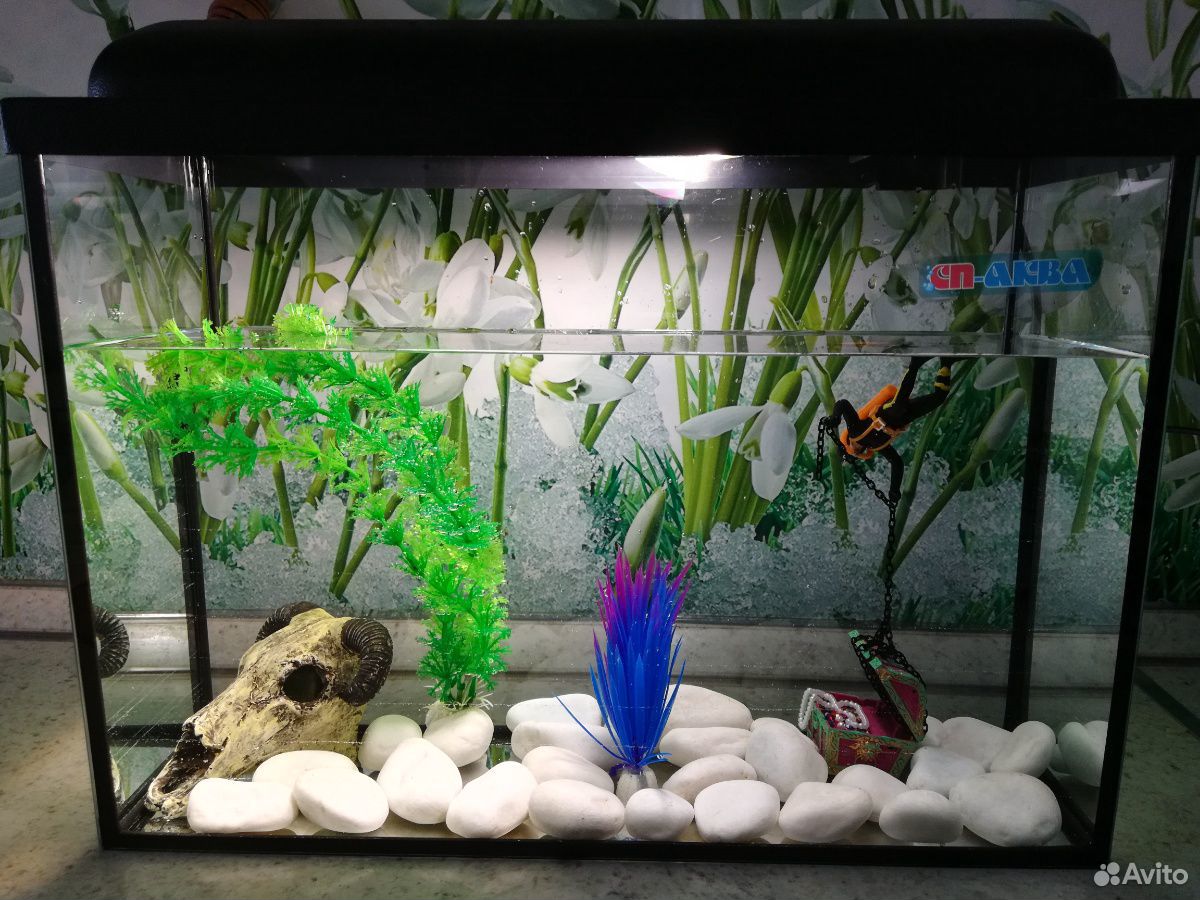 Продам аквариум с подсветкой и декоративными украш купить на Зозу.ру - фотография № 1