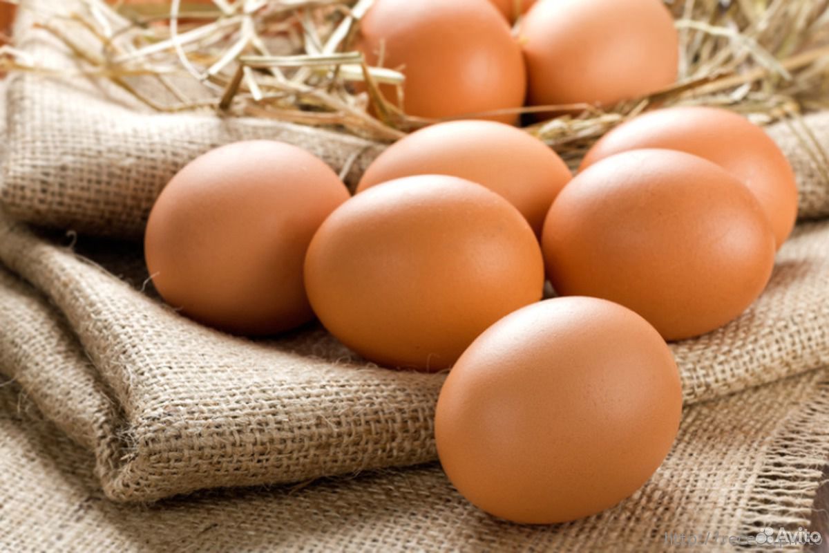 Перепелиное и куриное яйцо купить на Зозу.ру - фотография № 1