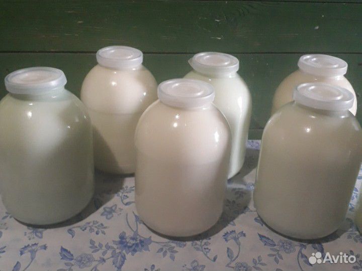 Молоко,молоко топленое,творог,масло,сыр,яйца купить на Зозу.ру - фотография № 1