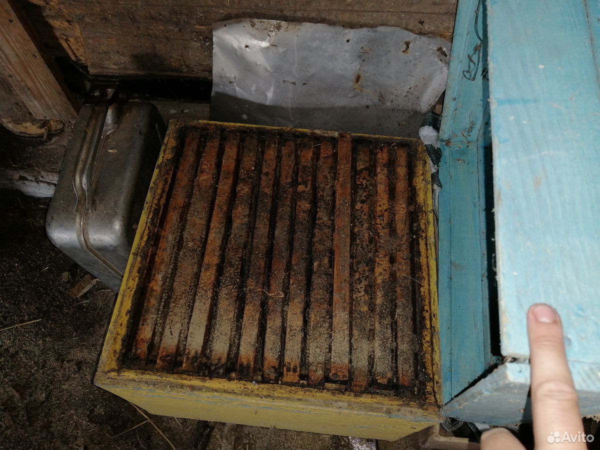 Пчелинный инвентарь купить на Зозу.ру - фотография № 1