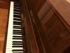 Пианино Petrof 117 см в отличном состоянии объявление продам