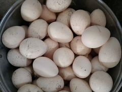 Яйца идюшиные