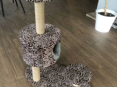 Домик для кошки с когтеточками