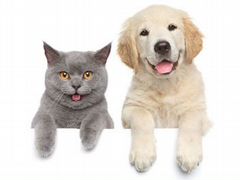 Корма для собак и кошек