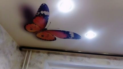 Натяжной потолок с фотопечатью Бабочка