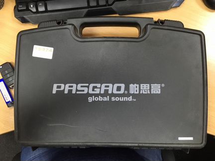 Pasgao PAW266/PAH172 двойная радиосистема