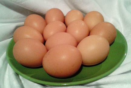Инкубацыонное яйцо кучинских юбилейных