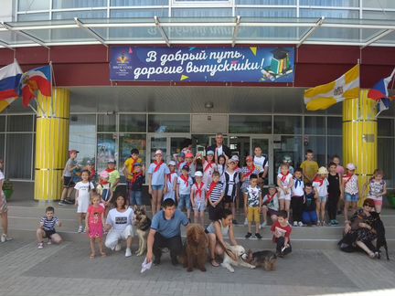 2-й фестиваль собак в Пятигорске