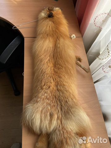 Шкурка лисы