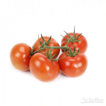Семена Томата 
