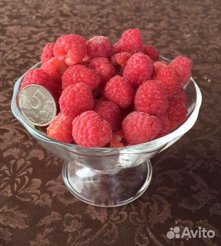 Саженцы малины