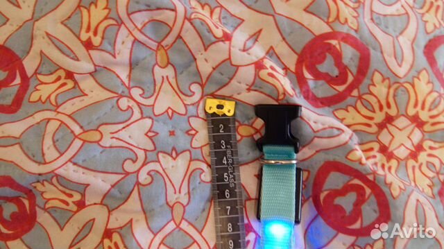 Светящийся ошейник для собак