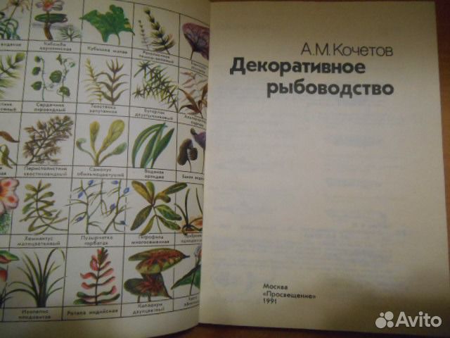 Рыбоводство декоративное Рыбоводство декоративное