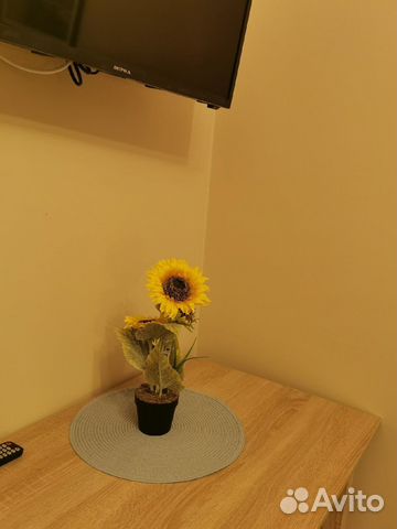 

Квартира-студия, 16 м², 1 кровать
