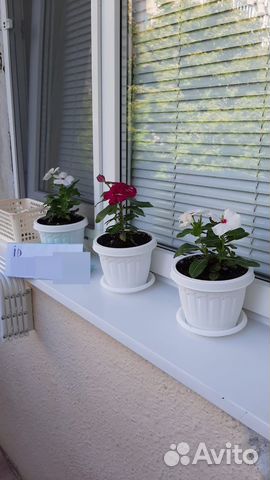 

2-к. квартира, 48 м², 5 кроватей
