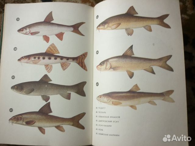 Справочная книга рыболова любитнля