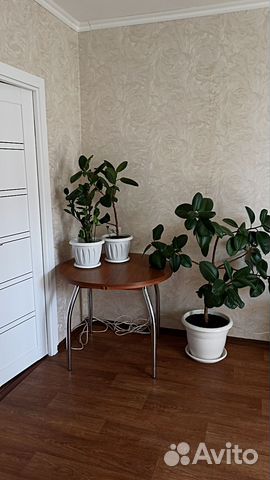 

1-к. квартира, 42 м², 2 кровати