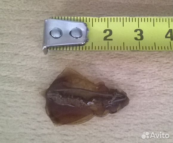 Значок брошь детские значки СССР Значок брошь детские значки СССР