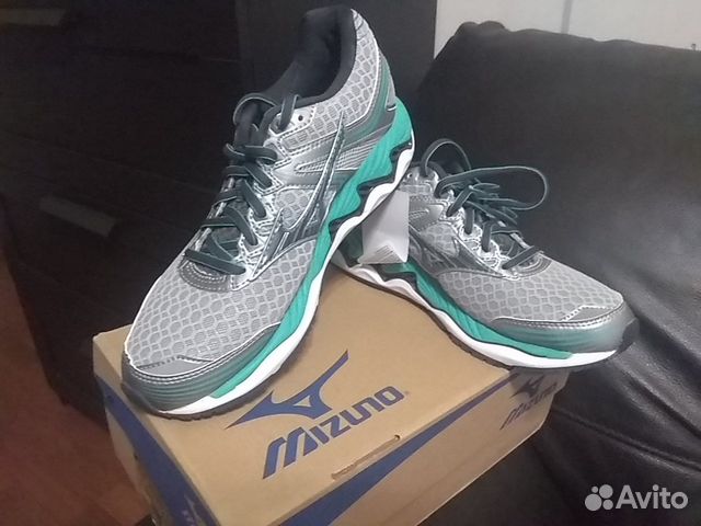 mizuno paradox 2