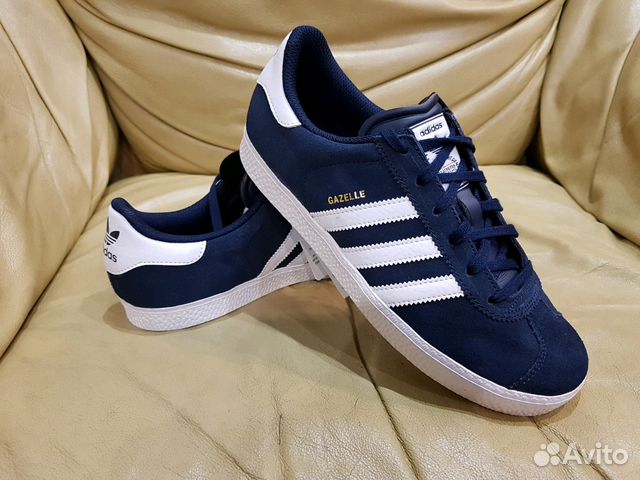 gazelle 37