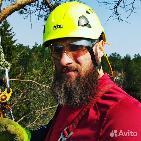 Спилить дерево, расчистка участка.Обрезка деревьев Спилить дерево, расчистка участка.Обрезка деревьев