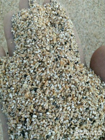 Отходы семечек,сечка пшеницы и кукурузы, жом сахар купить на Зозу.ру - фотография № 3