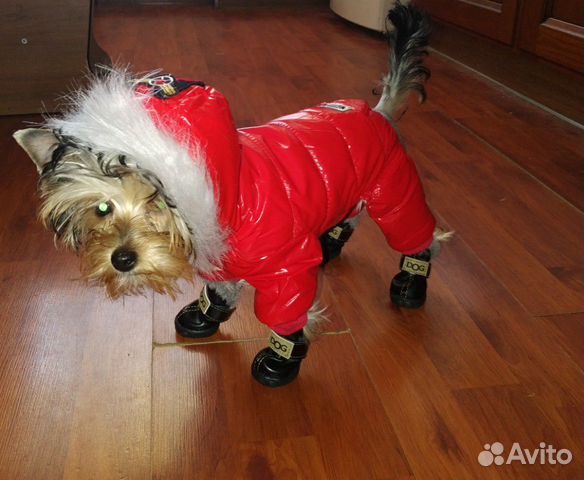 Зимний комбинезон для собаки купить на Зозу.ру - фотография № 2