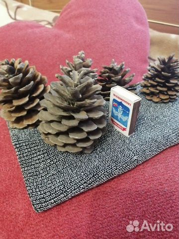 Шишки разные