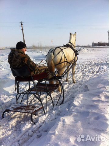 Карета,сани,для лошади купить на Зозу.ру - фотография № 4