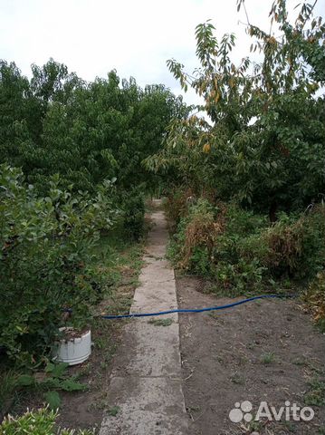 Дача 30 м² на участке 8 сот. Дача 30 м² на участке 8 сот.