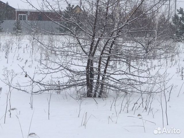 Участок 8 сот. (ИЖС) Участок 8 сот. (ИЖС)