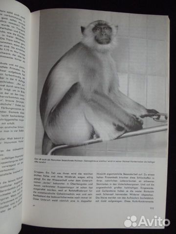 Книга про животных на немецком