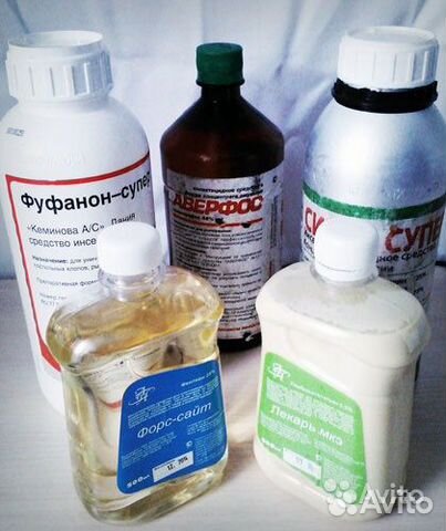 Средства препараты химия от клопов блох тараканов