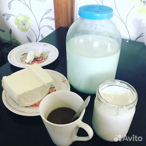 Мясо, молоко, сметана, сливки, сыр, творог