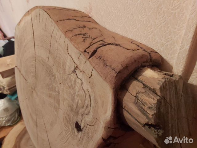 Спил дуба торцевой