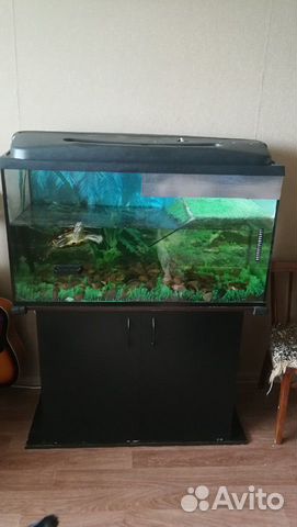 Аквариум