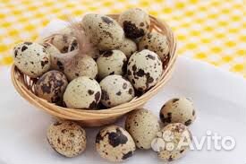Яйца перепелиные домашние