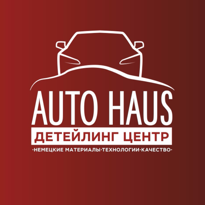 Автохаус. Автохаус логотип. Химчистка авто логотип. Лого для детейлинга.