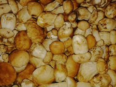 Продукты питания белый гриб