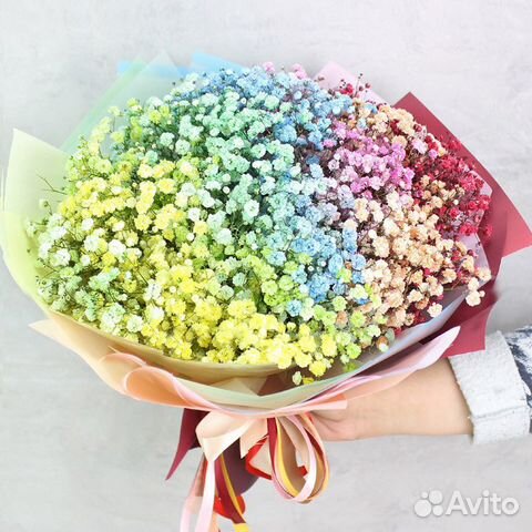 Букет из гипсофилы Градиент